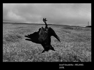 Josef Koudelka : IRELAND.
1978.
 