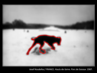 Josef Koudelka / FRANCE. Hauts-de-Seine. Parc de Sceaux. 1987.
 