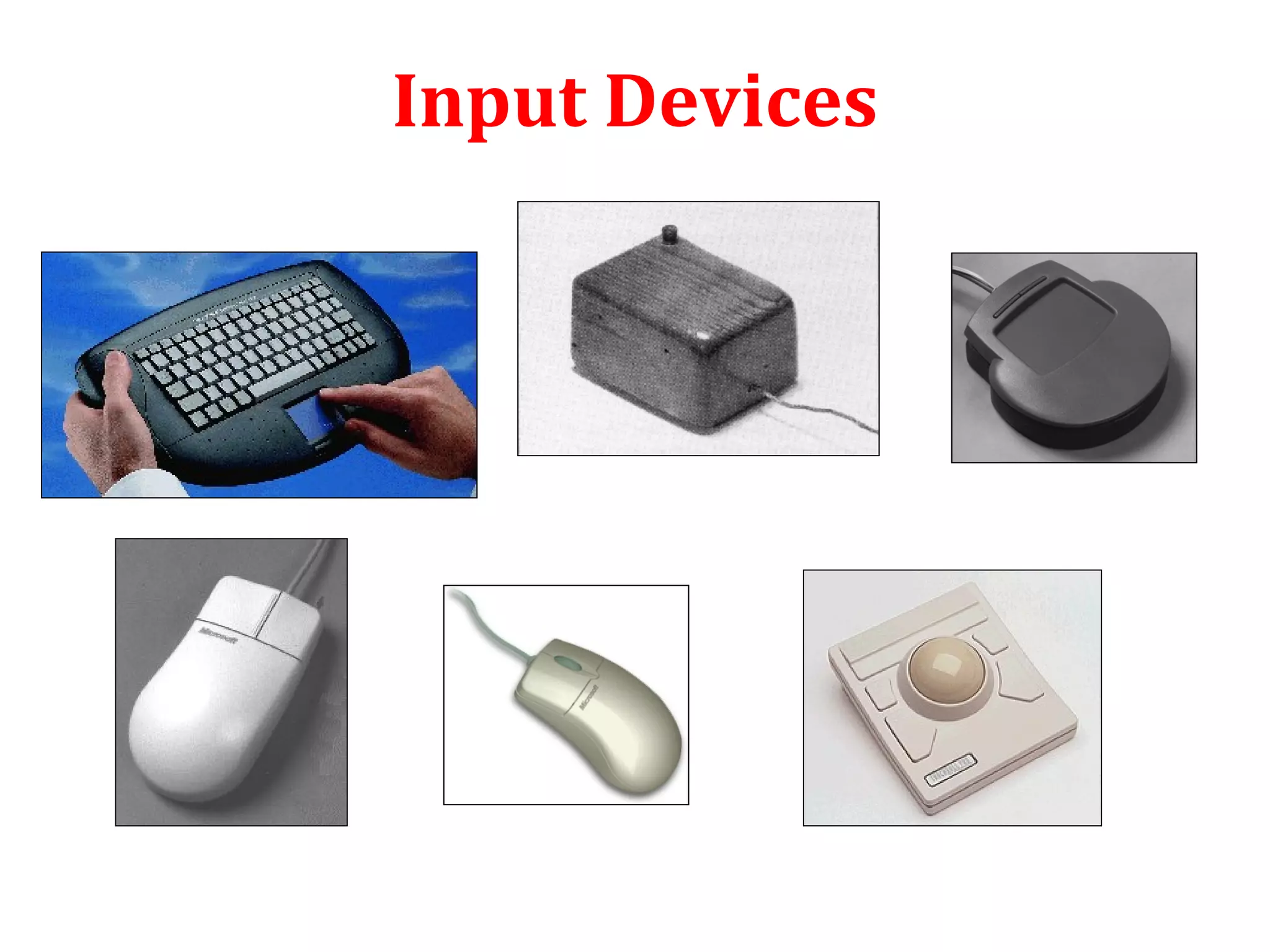 Input Devices 
 