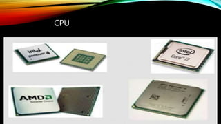 CPU
 