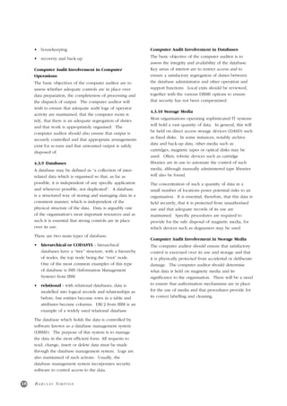 Computer Audit an Introductory | PDF