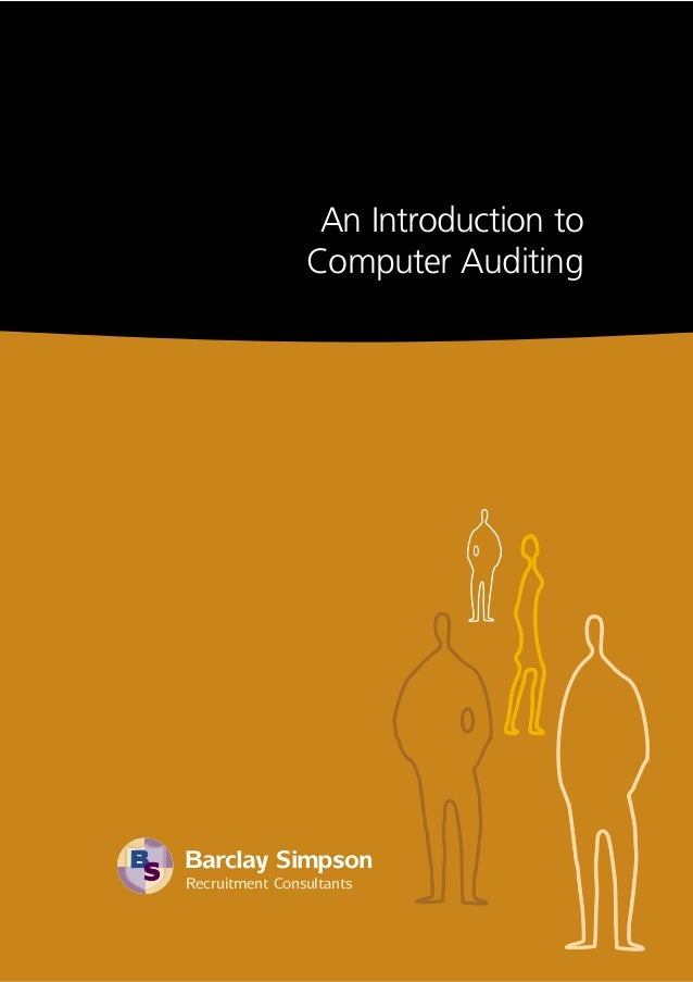 Computer Audit an Introductory