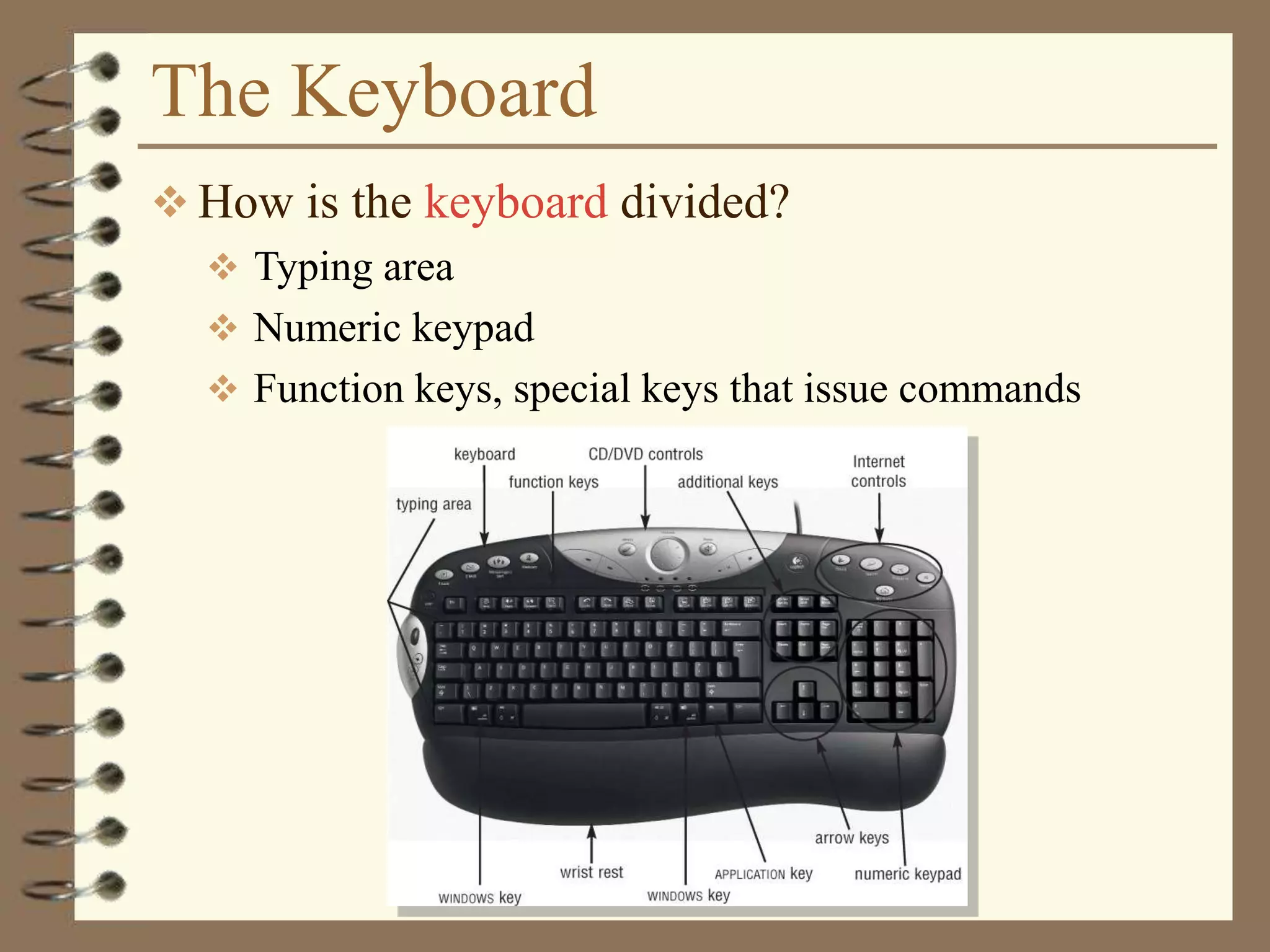 The Keyboard
 How is the keyboard divided?
 Typing area
 Numeric keypad
 Function keys, special keys that issue commands
 