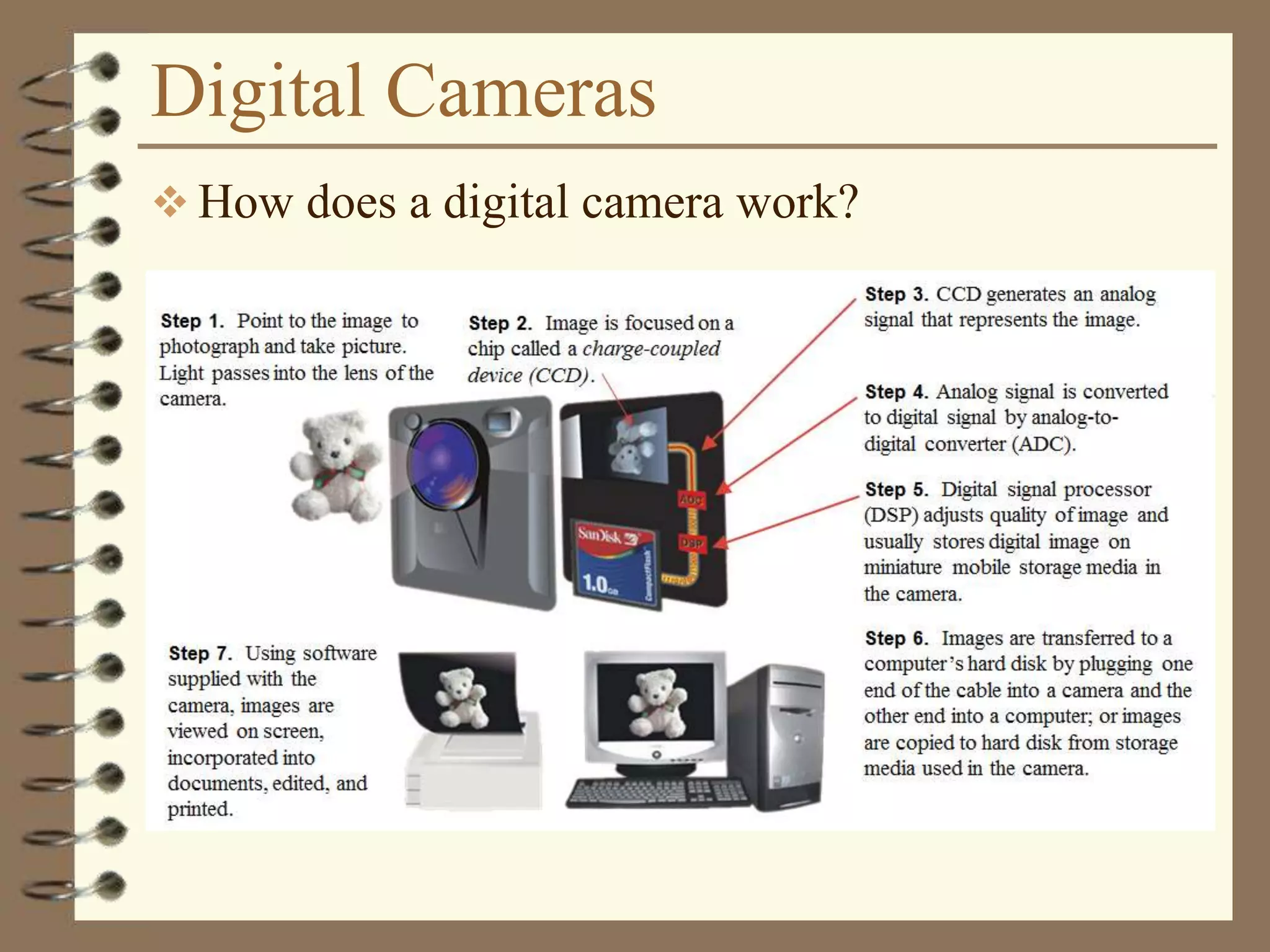 Digital Cameras
 How does a digital camera work?
 