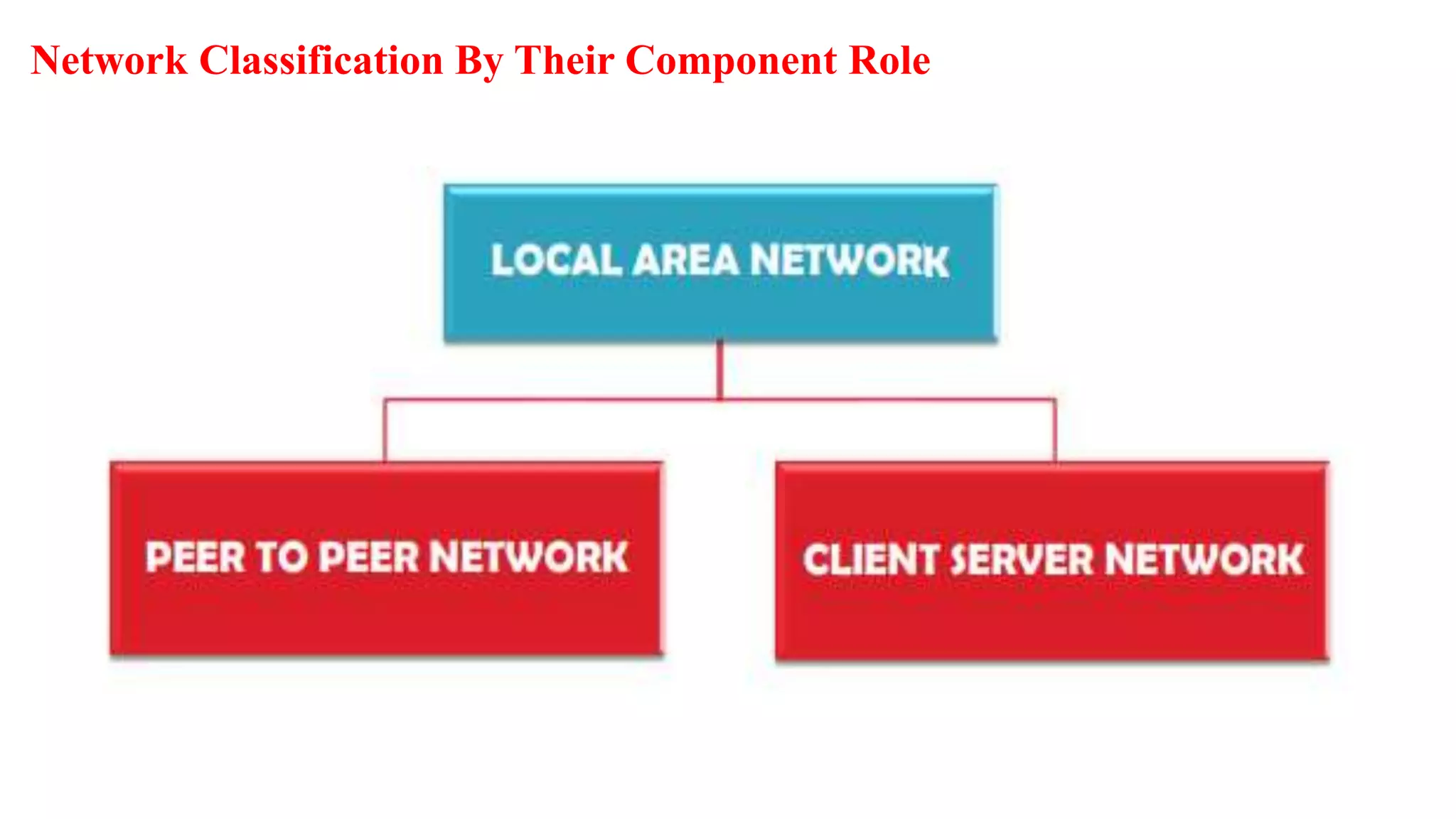 Network Classification By Their Component Role
 