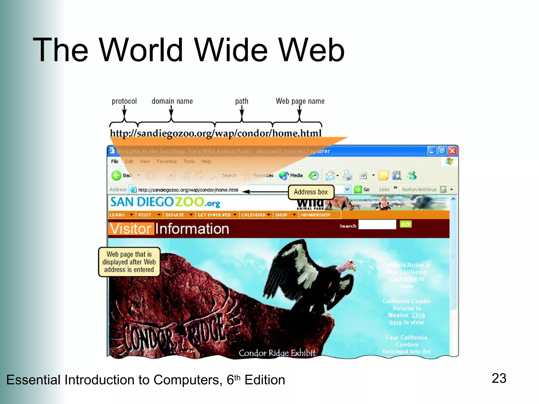 The World Wide Web 