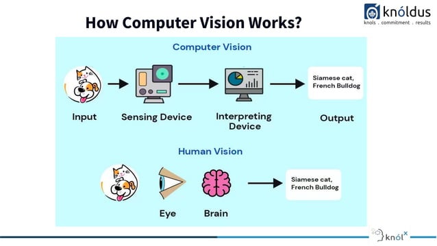 Introduction to Computer Vision.pdf