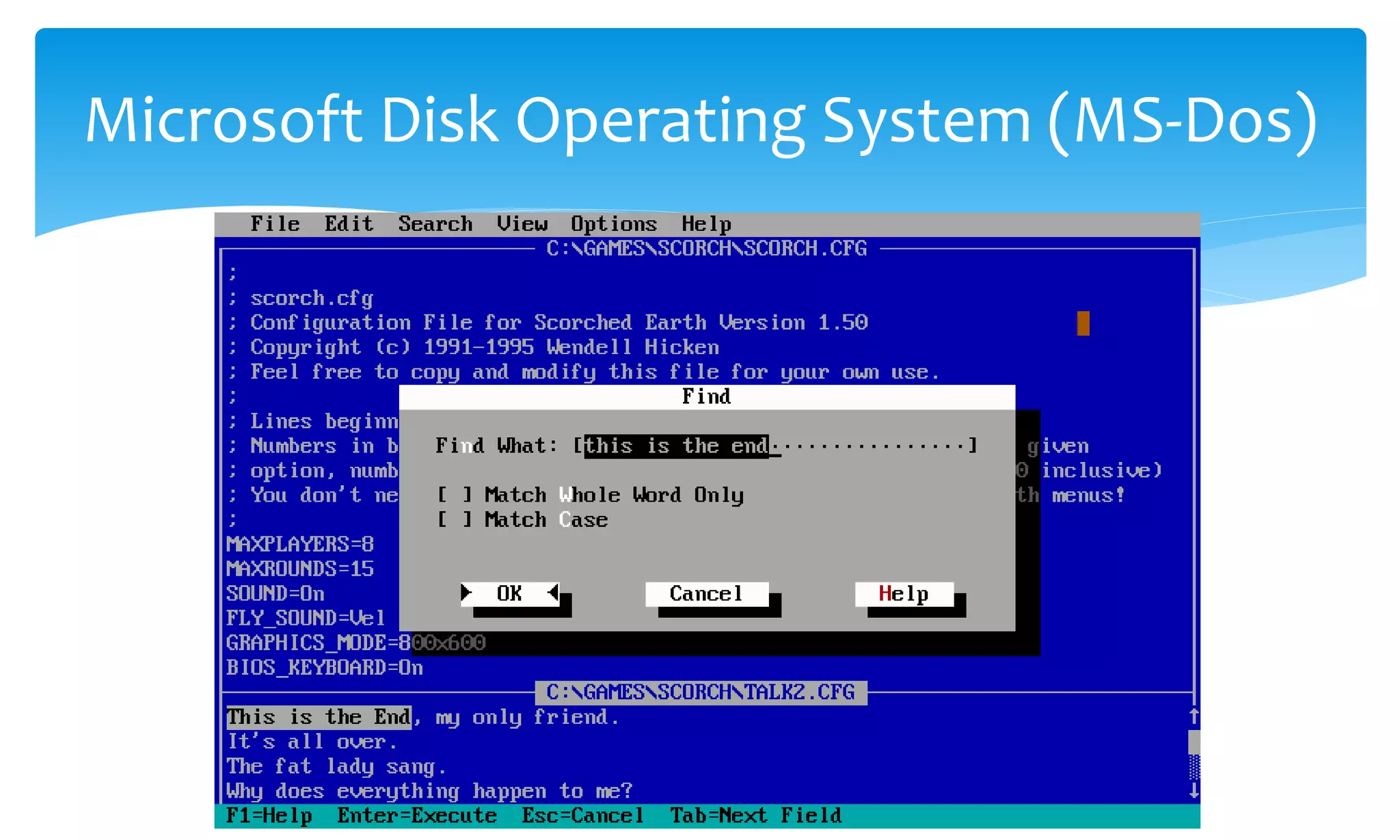 Microsoft Disk Operating System (MS-Dos)
 