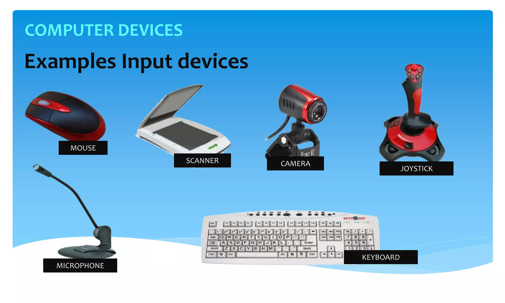 COMPUTER DEVICES
Examples Input devices
MOUSE
SCANNER CAMERA
MICROPHONE
JOYSTICK
KEYBOARD
 
