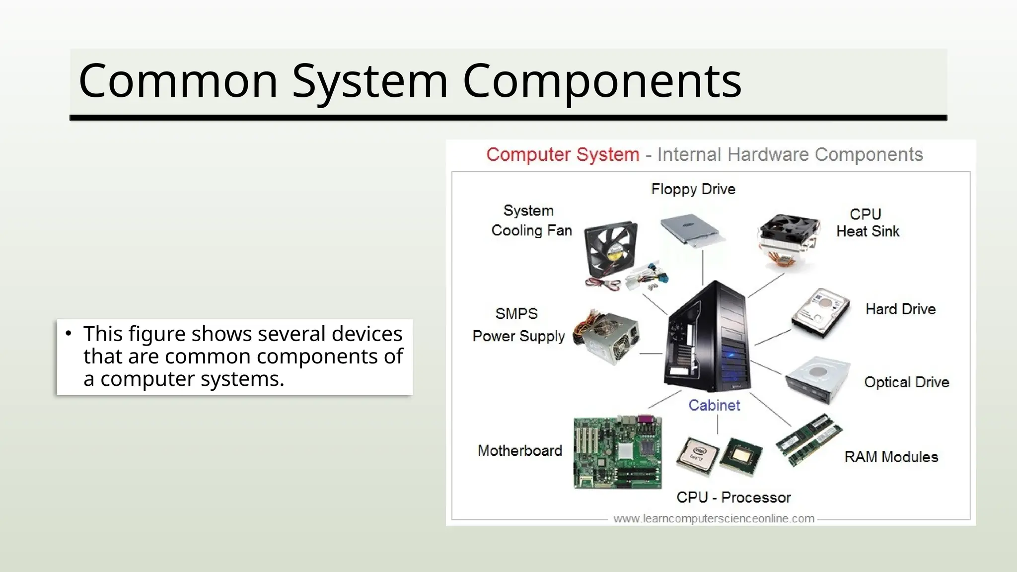 Common System Components
• This figure shows several devices
that are common components of
a computer systems.
 