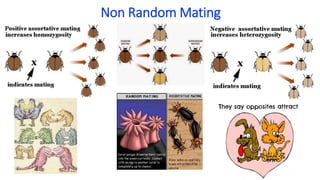 Introduction to conservation genetics and genomics | PPTX