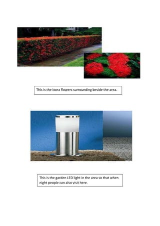 This is the Ixora flowers surrounding beside the area.
This is the garden LED light in the area so that when
night people can also visit here.
 