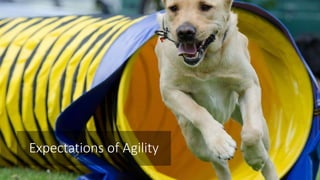 Expectations of Agility
 