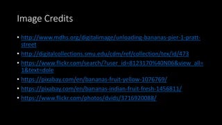 Image Credits
• http://www.mdhs.org/digitalimage/unloading-bananas-pier-1-pratt-
street
• http://digitalcollections.smu.edu/cdm/ref/collection/tex/id/473
• https://www.flickr.com/search/?user_id=8123170%40N06&view_all=
1&text=dole
• https://pixabay.com/en/bananas-fruit-yellow-1076769/
• https://pixabay.com/en/bananas-indian-fruit-fresh-1456811/
• https://www.flickr.com/photos/dvids/3716920088/
 