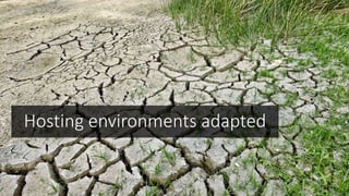 Hosting environments adapted
 