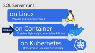 SQL Server コンテナ入門(Docker編) | PDF