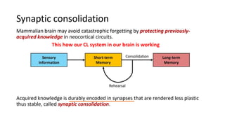 This how our CL system in our brain is working
 