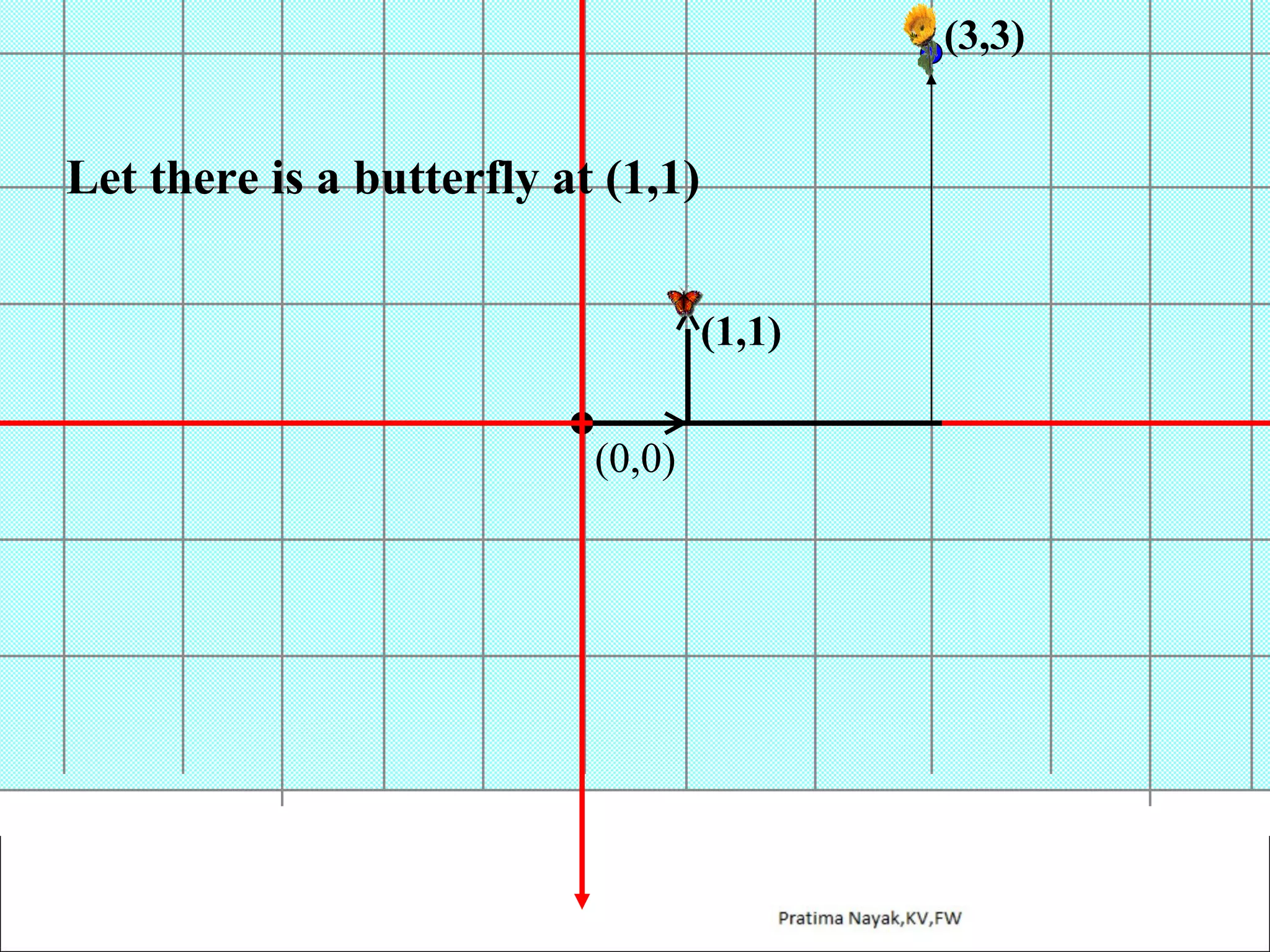 (3,3)

Let there is a butterfly at (1,1)
(1,1)
(0,0)

 
