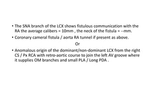 • The SNA branch of the LCX shows fistulous communication with the
RA the average calibers = 10mm , the neck of the fistula = --mm.
• Coronary cameral fistula / aorta RA tunnel if present as above.
Or
• Anomalous origin of the dominant/non-dominant LCX from the right
CS / Px RCA with retro-aortic course to join the left AV groove where
it supplies OM branches and small PLA / Long PDA .
 