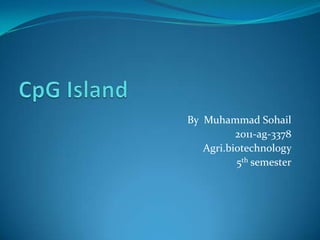 By Muhammad Sohail
2011-ag-3378
Agri.biotechnology
5th semester

 