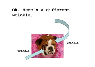 Introduction To Creative Writing