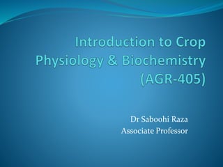 Dr Saboohi Raza
Associate Professor
 