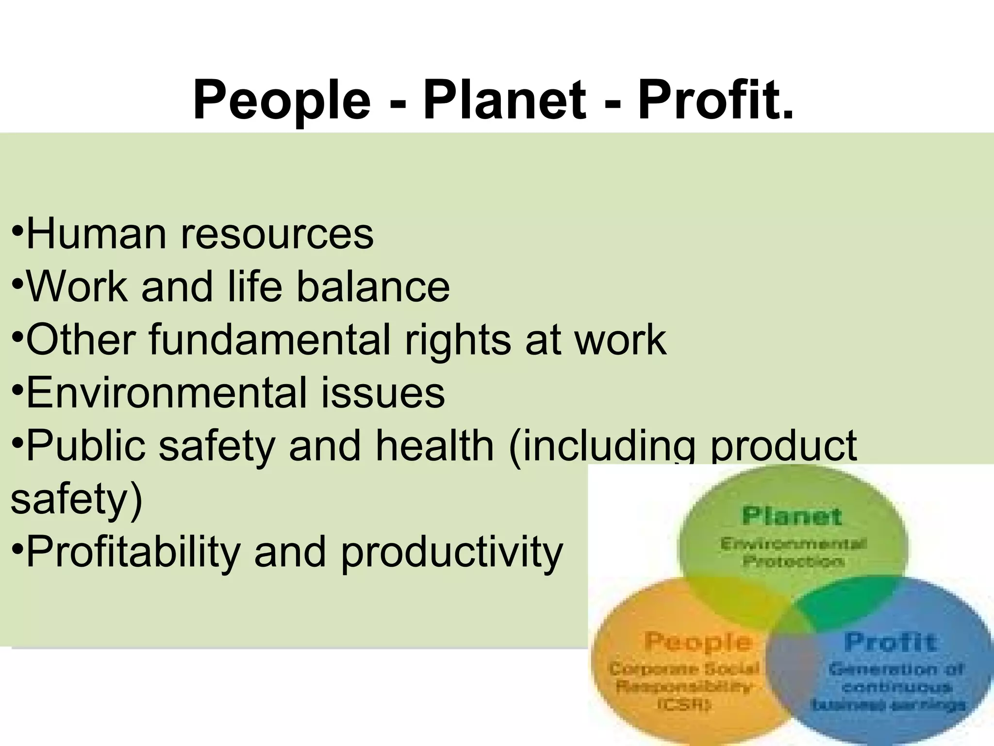 People - Planet - Profit.   Human resources  Work and life balance  Other fundamental rights at work  Environmental issues  Public safety and health (including product safety)  Profitability and productivity  