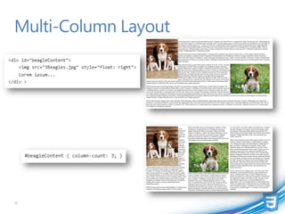 Multi-Column Layout




31
 