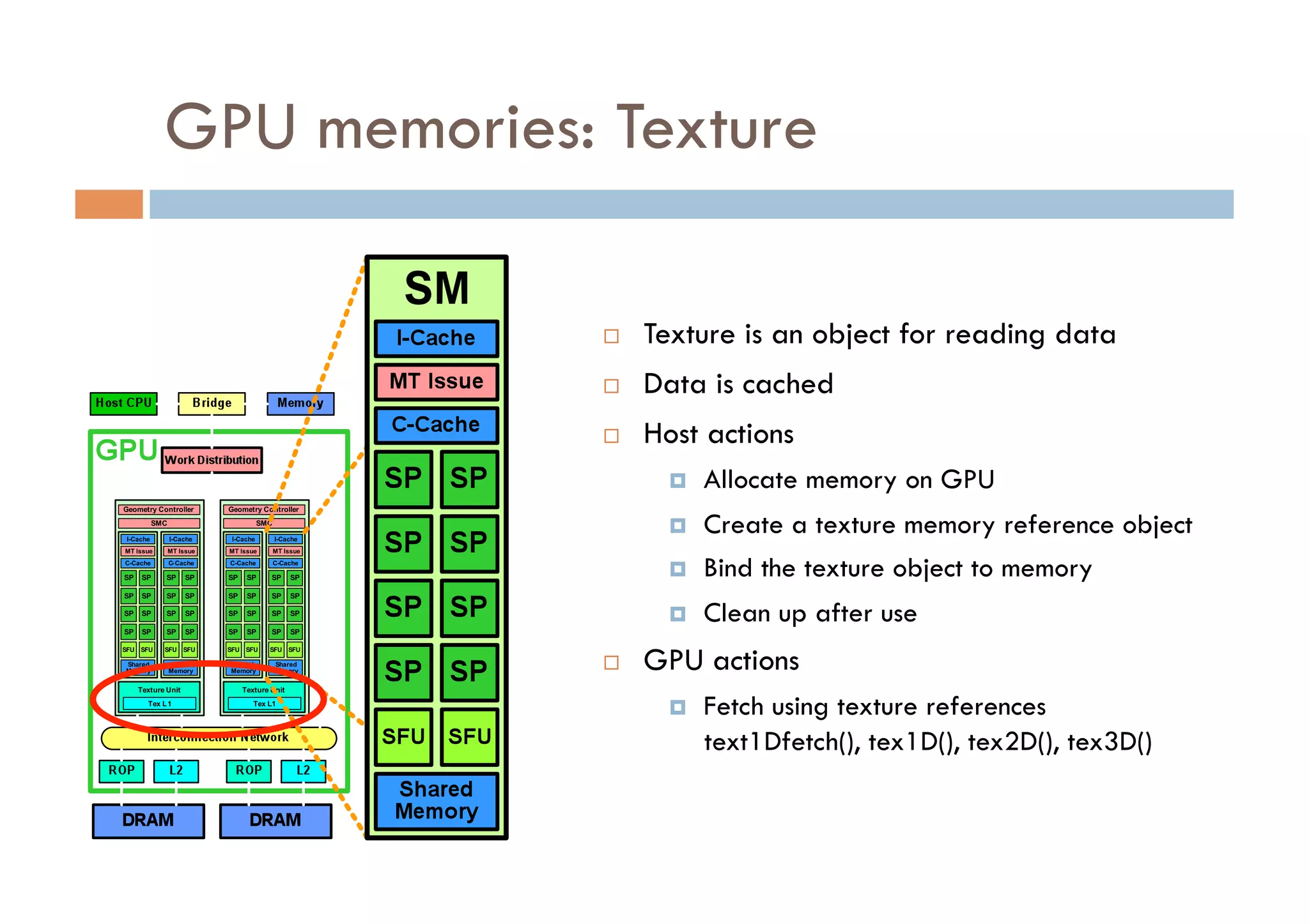 GPU memories: Texture

                  Texture is an object for reading data
                  Data is cached
                  Host actions
                         Allocate memory on GPU
                         Create a texture memory reference object
                         Bind the texture object to memory
                         Clean up after use
                  GPU actions
                         Fetch using texture references
                          text1Dfetch(), tex1D(), tex2D(), tex3D()
 
