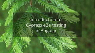 Introduction to
Cypress e2e testing
in Angular
 