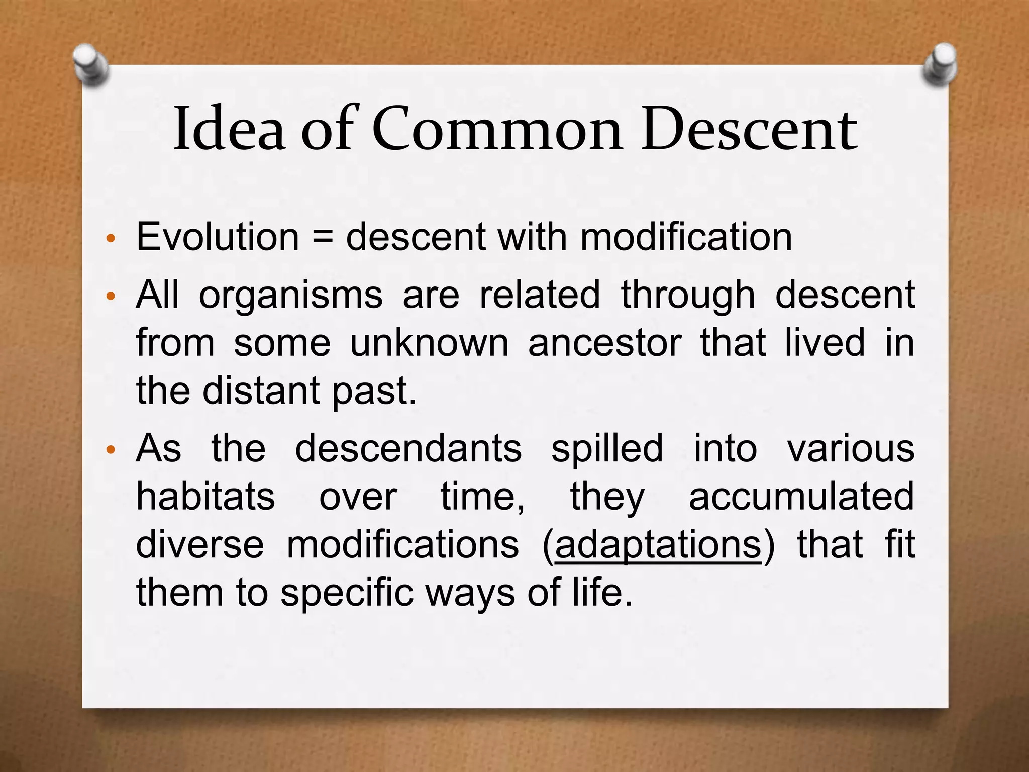 Idea of Common Descent
• Evolution = descent with modification
• All organisms are related through descent

from some unknown ancestor that lived in
the distant past.
• As the descendants spilled into various
habitats over time, they accumulated
diverse modifications (adaptations) that fit
them to specific ways of life.

 