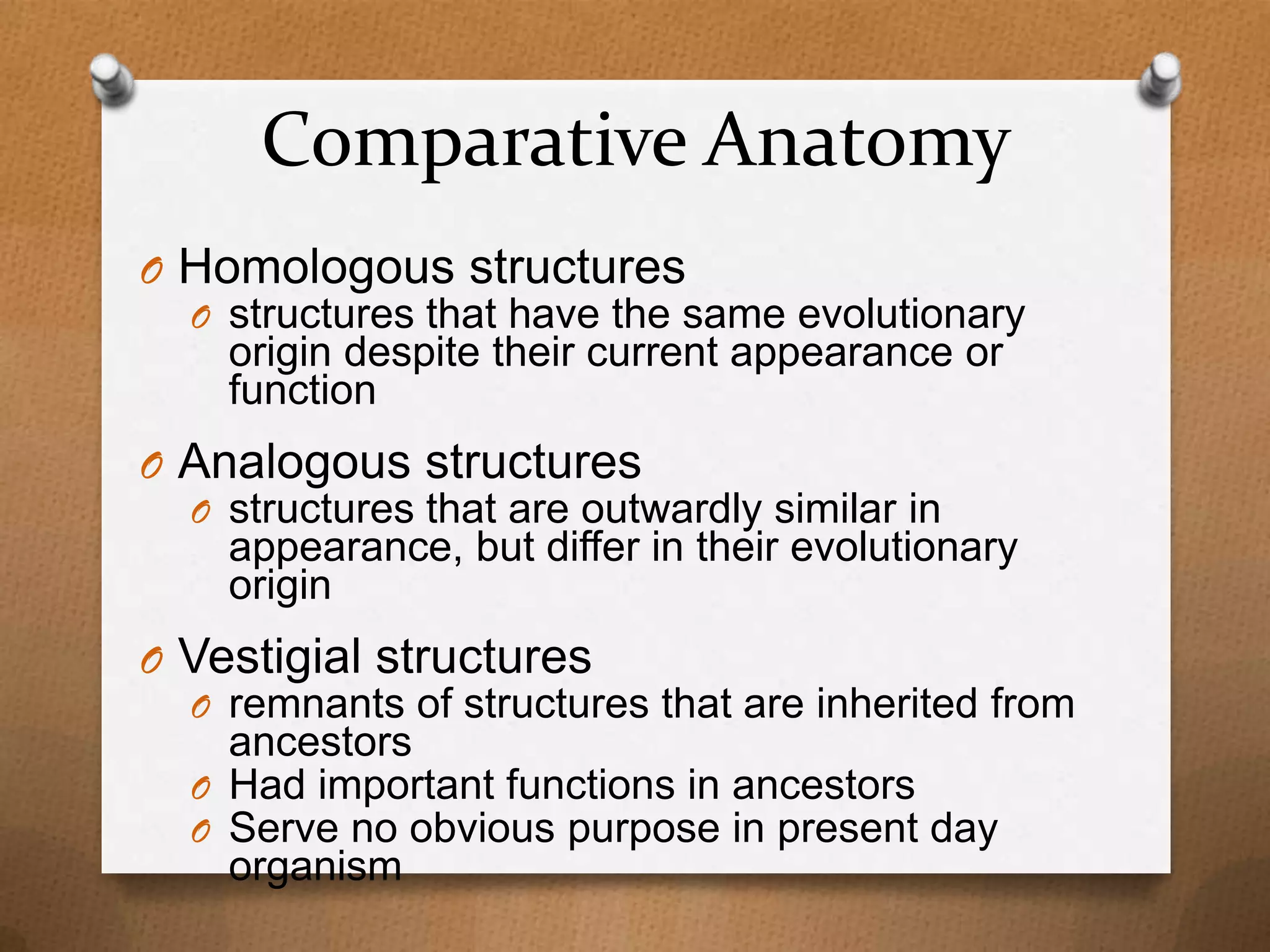 Comparative Anatomy
O Homologous structures
O structures that have the same evolutionary
origin despite their current appearance or
function
O Analogous structures
O structures that are outwardly similar in
appearance, but differ in their evolutionary
origin
O Vestigial structures
O remnants of structures that are inherited from
ancestors
O Had important functions in ancestors
O Serve no obvious purpose in present day
organism

 