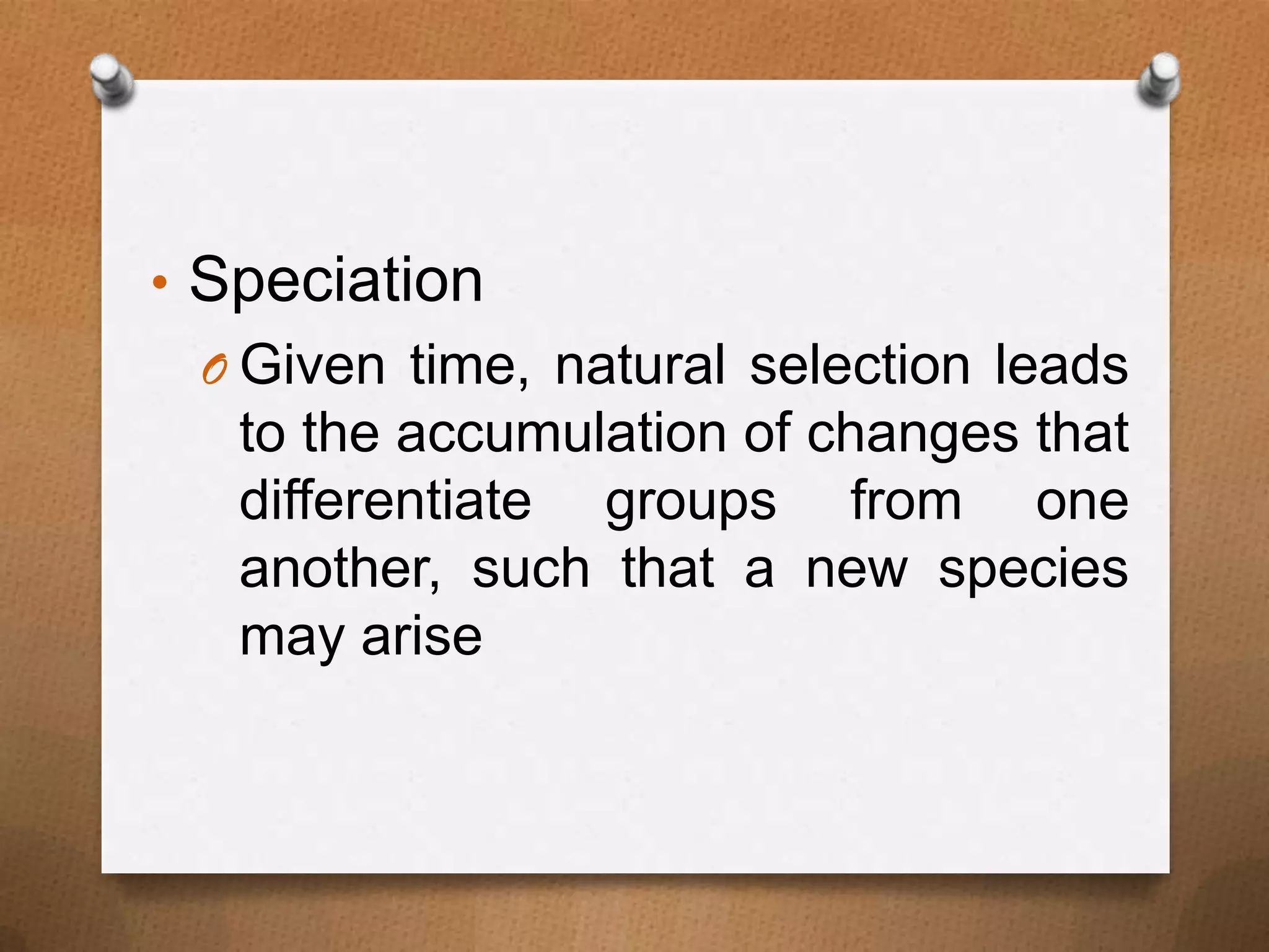 • Speciation
O Given time, natural selection leads

to the accumulation of changes that
differentiate groups from one
another, such that a new species
may arise

 