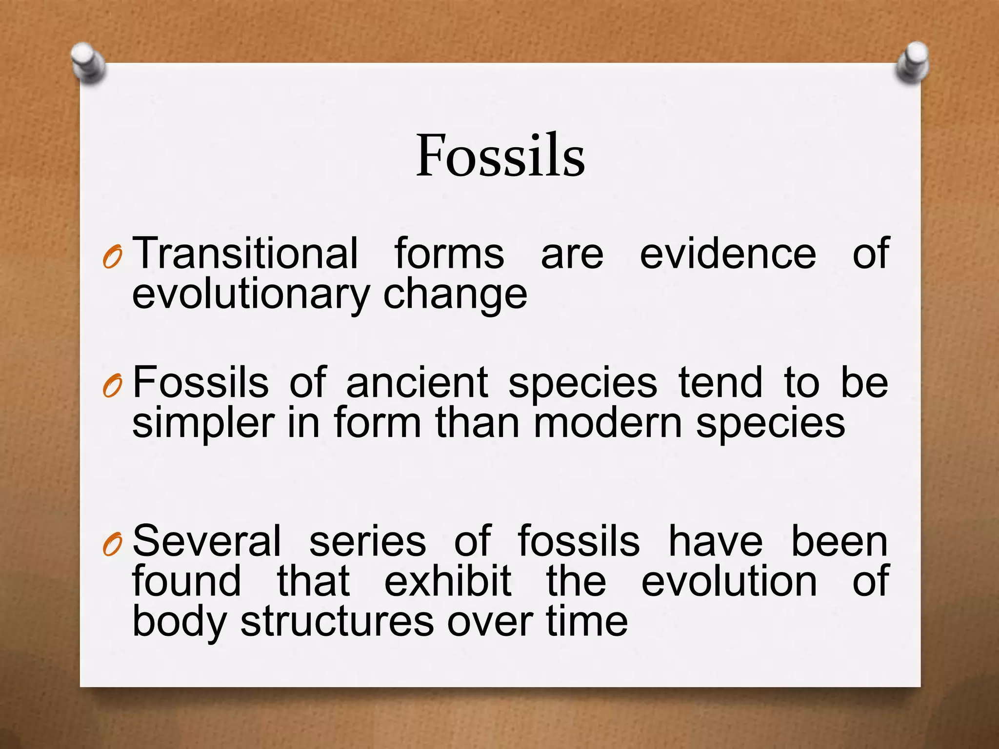 Fossils
O Transitional forms are evidence of

evolutionary change

O Fossils of ancient species tend to be

simpler in form than modern species

O Several series of fossils have been

found that exhibit the evolution of
body structures over time

 