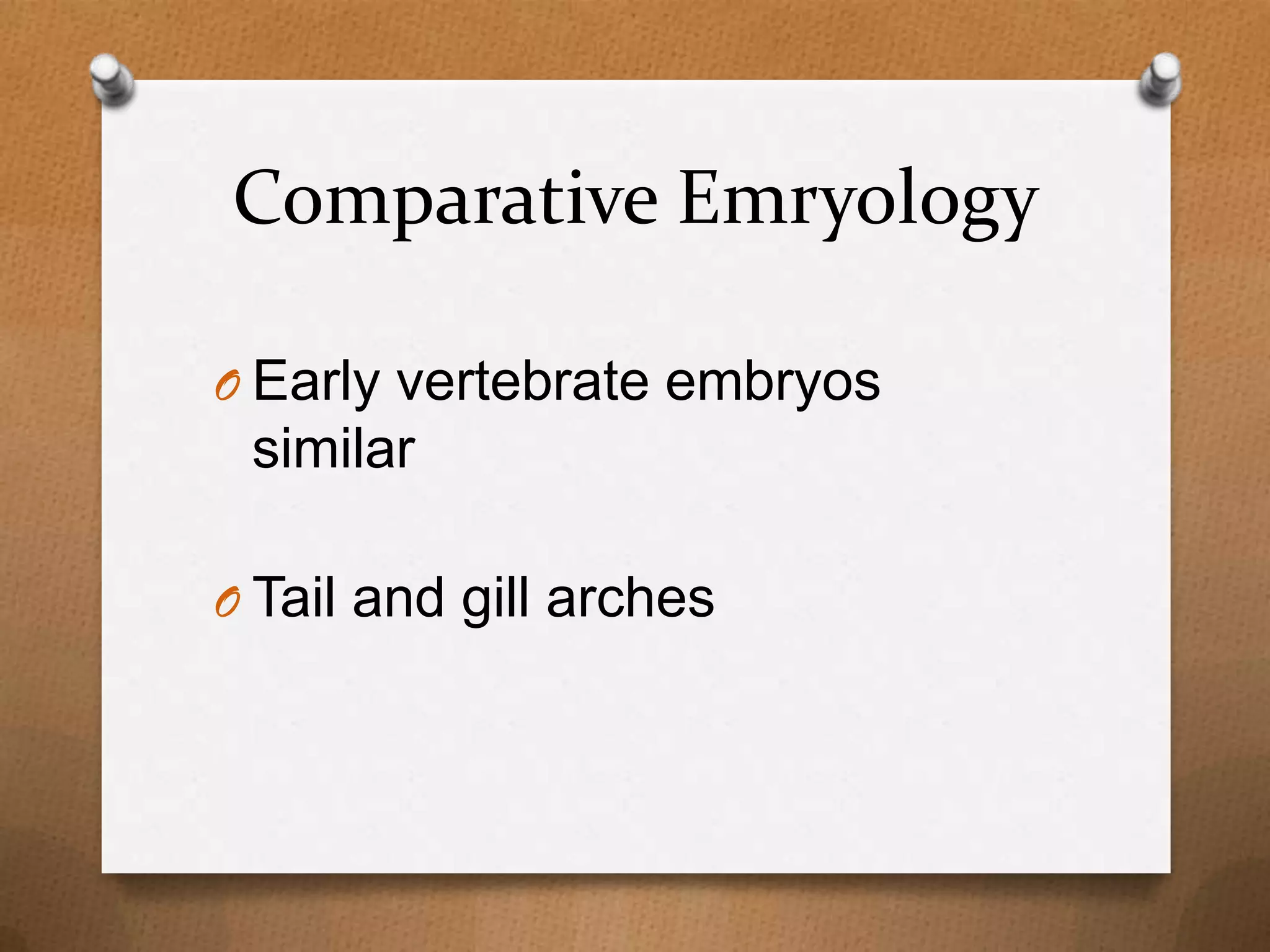 Comparative Emryology
O Early vertebrate embryos

similar
O Tail and gill arches

 