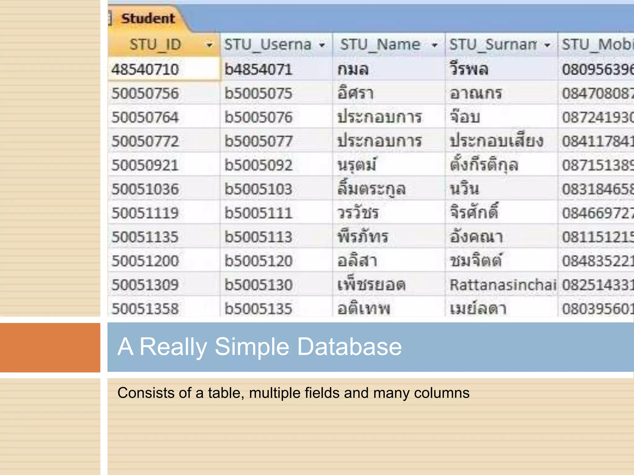Consists of a table, multiple fields and many columnsA Really Simple Database
