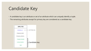 Introduction to database | PPTX