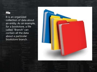 It is an organized
collection of data about
an entity. As an example,
for a bookstore, a file
called “Branch” can
contain all the data
about a particular
bookstore branch.
 