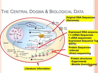 THE CENTRAL DOGMA & BIOLOGICAL DATA
Protein structures
-Experiments
-Models (homologues)
Literature information
Original DNA Sequences
(Genomes)
Protein Sequences
-Inferred
-Direct sequencing
Expressed DNA sequence
( = mRNA Sequences
= cDNA sequences)
Expressed Sequence Tag
(ESTs)
 
