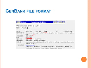 GENBANK FILE FORMAT
 