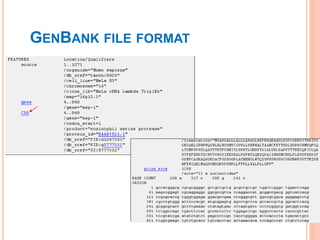 GENBANK FILE FORMAT
 