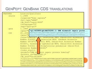 FEATURES Location/Qualifiers
source 1..2484
/organism="Homo sapiens"
/mol_type="mRNA"
/db_xref="taxon:9606"
/chromosome="3"
/map="3p22-p23"
gene 1..2484
/gene="MLH1"
CDS 22..2292
/gene="MLH1"
/note="homolog of S. cerevisiae PMS1 (Swiss-Prot Accession
Number P14242), S. cerevisiae MLH1 (GenBank Accession
Number U07187), E. coli MUTL (Swiss-Prot Accession Number
P23367), Salmonella typhimurium MUTL (Swiss-Prot Accession
Number P14161) and Streptococcus pneumoniae (Swiss-Prot
Accession Number P14160)"
/codon_start=1
/product="DNA mismatch repair protein homolog"
/protein_id="AAC50285.1"
/db_xref="GI:463989"
/translation="MSFVAGVIRRLDETVVNRIAAGEVIQRPANAIKEMIENCLDAKS
TSIQVIVKEGGLKLIQIQDNGTGIRKEDLDIVCERFTTSKLQSFEDLASISTYGFRGE
ALASISHVAHVTITTKTADGKCAYRASYSDGKLKAPPKPCAGNQGTQITVEDLFYNIA
TRRKALKNPSEEYGKILEVVGRYSVHNAGISFSVKKQGETVADVRTLPNASTVDNIRS
GENPEPT: GENBANK CDS TRANSLATIONS
>gi|463989|gb|AAC50285.1| DNA mismatch repair prote...
MSFVAGVIRRLDETVVNRIAAGEVIQRPANAIKEMIENCLDAKSTSIQVIV...
EDLDIVCERFTTSKLQSFEDLASISTYGFRGEALASISHVAHVTITTKTAD...
 