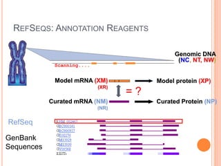 REFSEQS: ANNOTATION REAGENTS
Genomic DNA
(NC, NT, NW)
Model mRNA (XM)
(XR)
Curated mRNA (NM)
(NR)
Model protein (XP)
Curated Protein (NP)
Scanning....
= ?
GenBank
Sequences
RefSeq
 