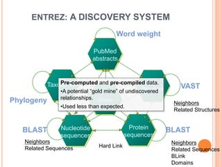 ENTREZ: A DISCOVERY SYSTEM
Gene
Taxonomy
PubMed
abstracts
Nucleotide
sequences
Protein
sequences
3-D
Structure
3 -D
Structure
Word weight
VAST
BLAST
BLAST
Phylogeny
Hard Link
Neighbors
Related Sequences
Neighbors
Related Sequences
BLink
Domains
Neighbors
Related Structures
Pre-computed and pre-compiled data.
•A potential “gold mine” of undiscovered
relationships.
•Used less than expected.
 