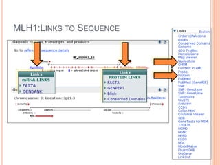MLH1:LINKS TO SEQUENCE
 