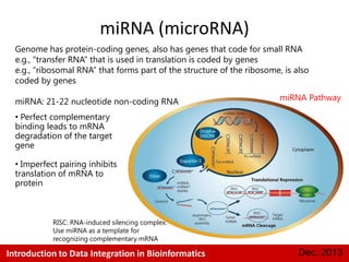 miRNA (microRNA)
Genome has protein-coding genes, also has genes that code for small RNA
e.g., ―transfer RNA‖ that is used in translation is coded by genes
e.g., ―ribosomal RNA‖ that forms part of the structure of the ribosome, is also
coded by genes
miRNA: 21-22 nucleotide non-coding RNA

miRNA Pathway

• Perfect complementary
binding leads to mRNA
degradation of the target
gene
• Imperfect pairing inhibits
translation of mRNA to
protein

RISC: RNA-induced silencing complex.
Use miRNA as a template for
recognizing complementary mRNA

Introduction to Data Integration in Bioinformatics

Dec. 2013

 