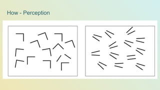 How - Perception