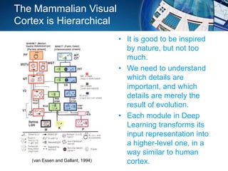 The Mammalian Visual
Cortex is Hierarchical
• It is good to be inspired
by nature, but not too
much.
• We need to understand
which details are
important, and which
details are merely the
result of evolution.
• Each module in Deep
Learning transforms its
input representation into
a higher-level one, in a
way similar to human
cortex.(van Essen and Gallant, 1994)
 