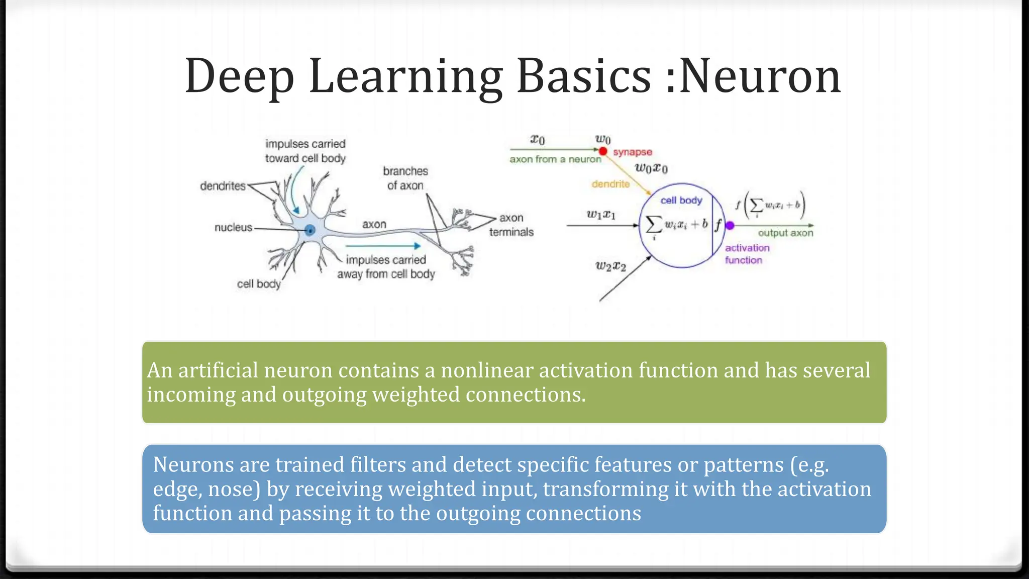 Deep Learning Basics :Neuron
An artificial neuron contains a nonlinear activation function and has several
incoming and outgoing weighted connections.
Neurons are trained filters and detect specific features or patterns (e.g.
edge, nose) by receiving weighted input, transforming it with the activation
function and passing it to the outgoing connections
 