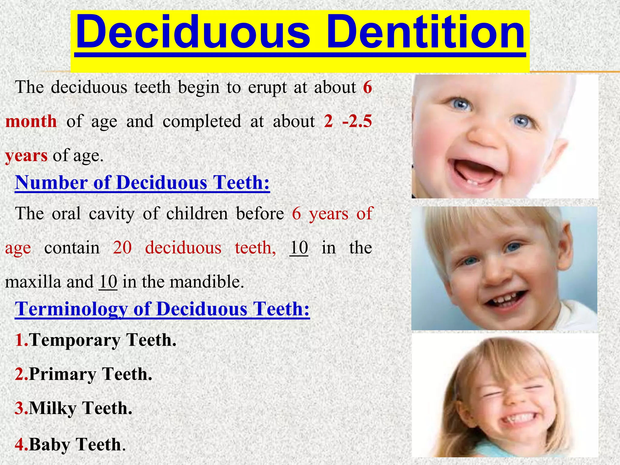 The deciduous teeth begin to erupt at about 6
month of age and completed at about 2 -2.5
years of age.
Number of Deciduous Teeth:
The oral cavity of children before 6 years of
age contain 20 deciduous teeth, 10 in the
maxilla and 10 in the mandible.
Terminology of Deciduous Teeth:
1.Temporary Teeth.
2.Primary Teeth.
3.Milky Teeth.
4.Baby Teeth.
Deciduous Dentition
 